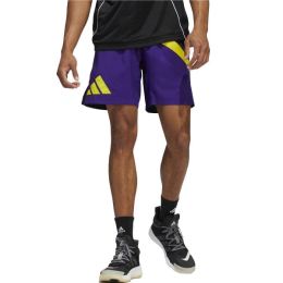 Снимка на ADIDAS Performance Galaxy Basketball Shorts Multicolor