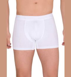 Снимка на Boxer shorts-BR-BK-4476.28P-white