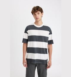 Снимка на DEFACTO Anthracite Boxy Fit Crew Neck Striped Cotton Short Sleeve T-Shirt