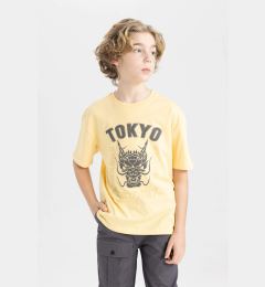 Снимка на DEFACTO Boy Oversize Fit Crew Neck Printed Short Sleeve T-Shirt