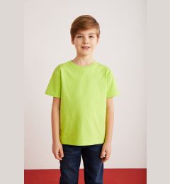 Снимка на GRIMELANGE Fae Boy's 100% Cotton Short Sleeve Crew Neck Pistachio Green / Black / White T-shirt