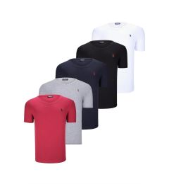 Снимка на QUINTUPLE SET T8568 DEWBERRY V-NECK MENS T-SHIRT-BLACK-WHITE-NAVY BLUE-GREY-BURGUNDY