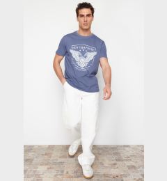 Снимка на Trendyol Blue Eagle Printed Regular Cut T-Shirt