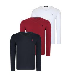 Снимка на TRIPLE SET T8587 DEWBERRY V-NECK MEN'S SWEATSHIRT-BLACK-WHITE-BURGUNDY