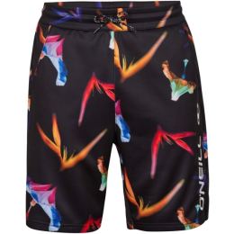 Снимка на O'Neill RUTILE JOGGER SHORTS Мъжки шорти, микс, размер