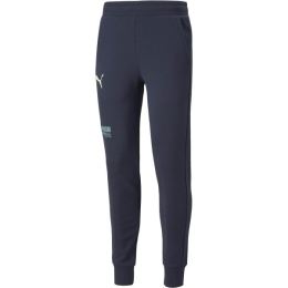 Снимка на Puma FUßBALL STREET PANTS Мъжко спортно долнище за футбол, тъмносин, размер