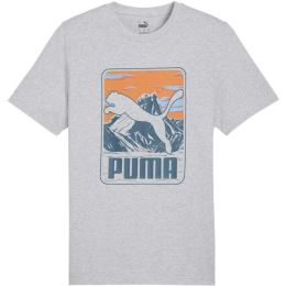 Снимка на Puma GRAPHIC MOUNTAIN TEE Мъжка тениска, сиво, размер