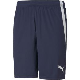 Снимка на Puma TEAM LIGA SHORTS Мъжки къси шорти, тъмносин, размер