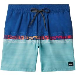 Снимка на Quiksilver EVERYDAY WORDBLOCK VOLLEY 17 Мъжки бански, синьо, размер